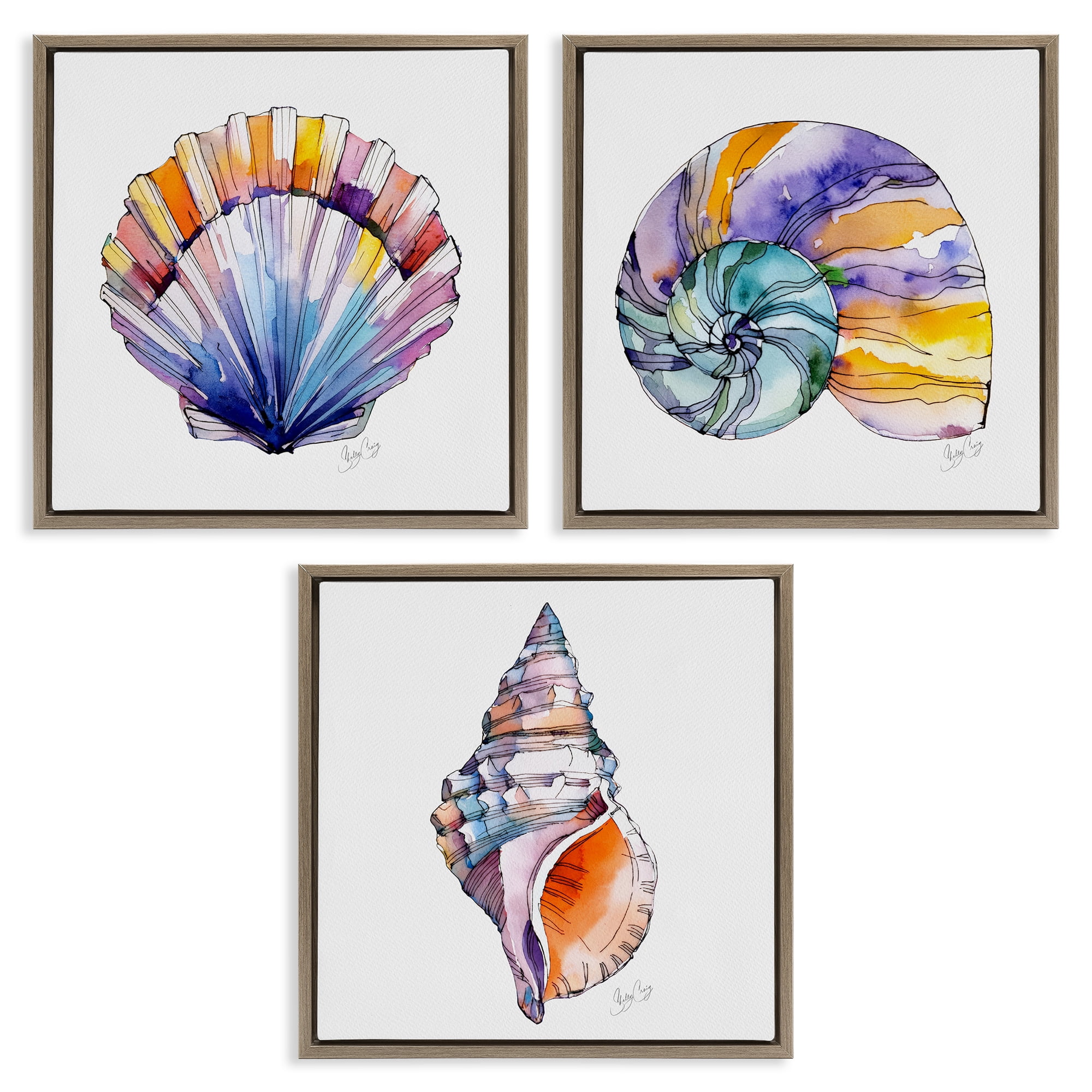 Stupell Industries Sunlit Seashells Watercolors 3 Piece Brown Framed Floater Canvas Set, design by Shelly Craig