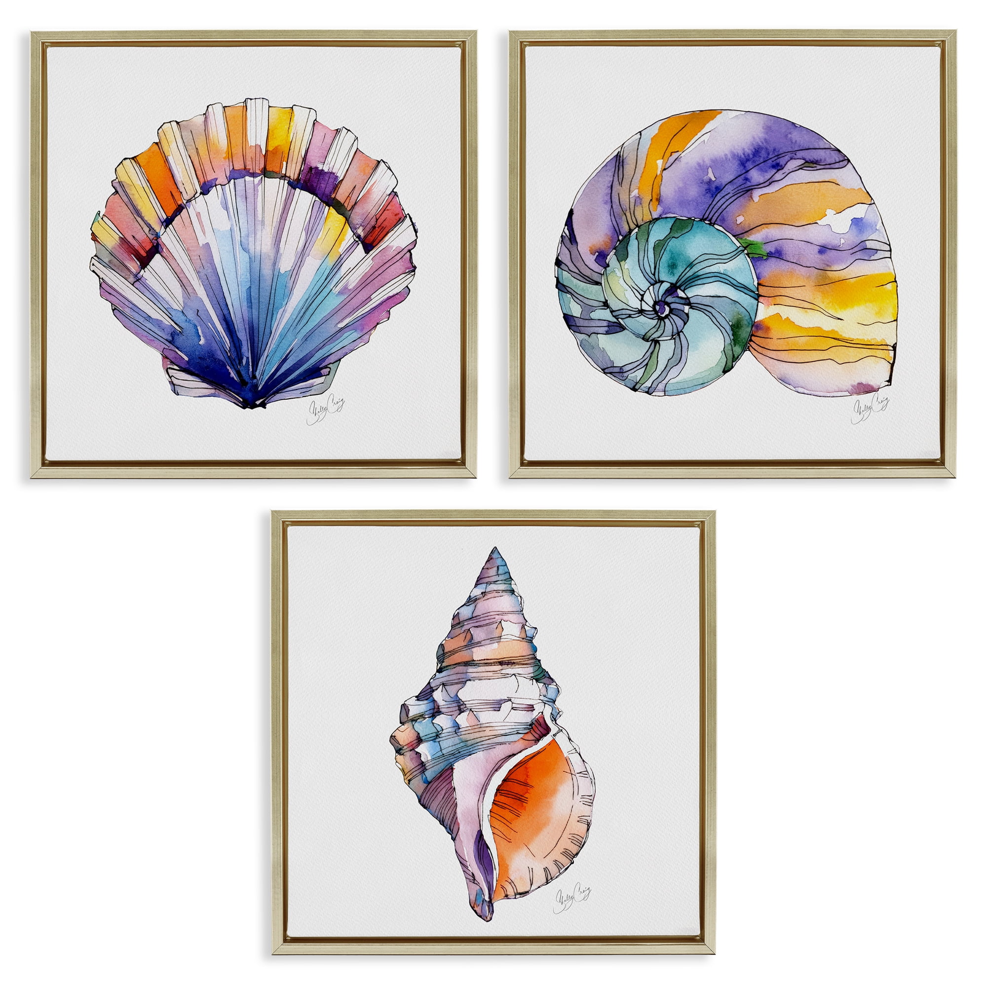 Stupell Industries Sunlit Seashells Watercolors 3 Piece Gold Framed Floater Canvas Set, design by Shelly Craig