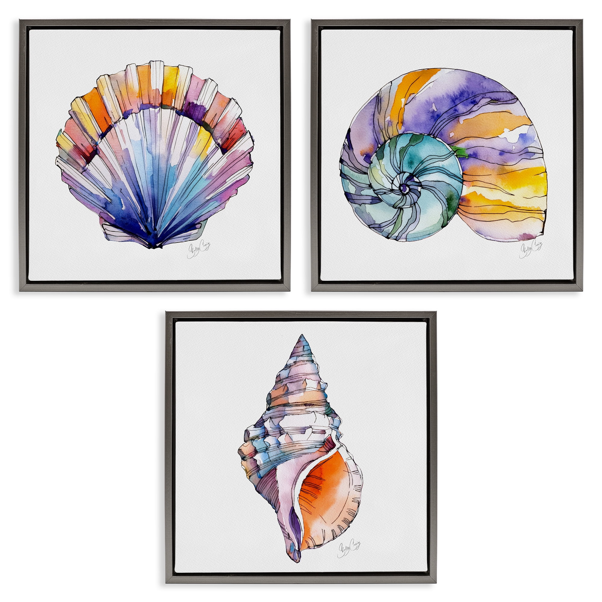 Stupell Industries Sunlit Seashells Watercolors 3 Piece Gray Framed Floater Canvas Set, design by Shelly Craig