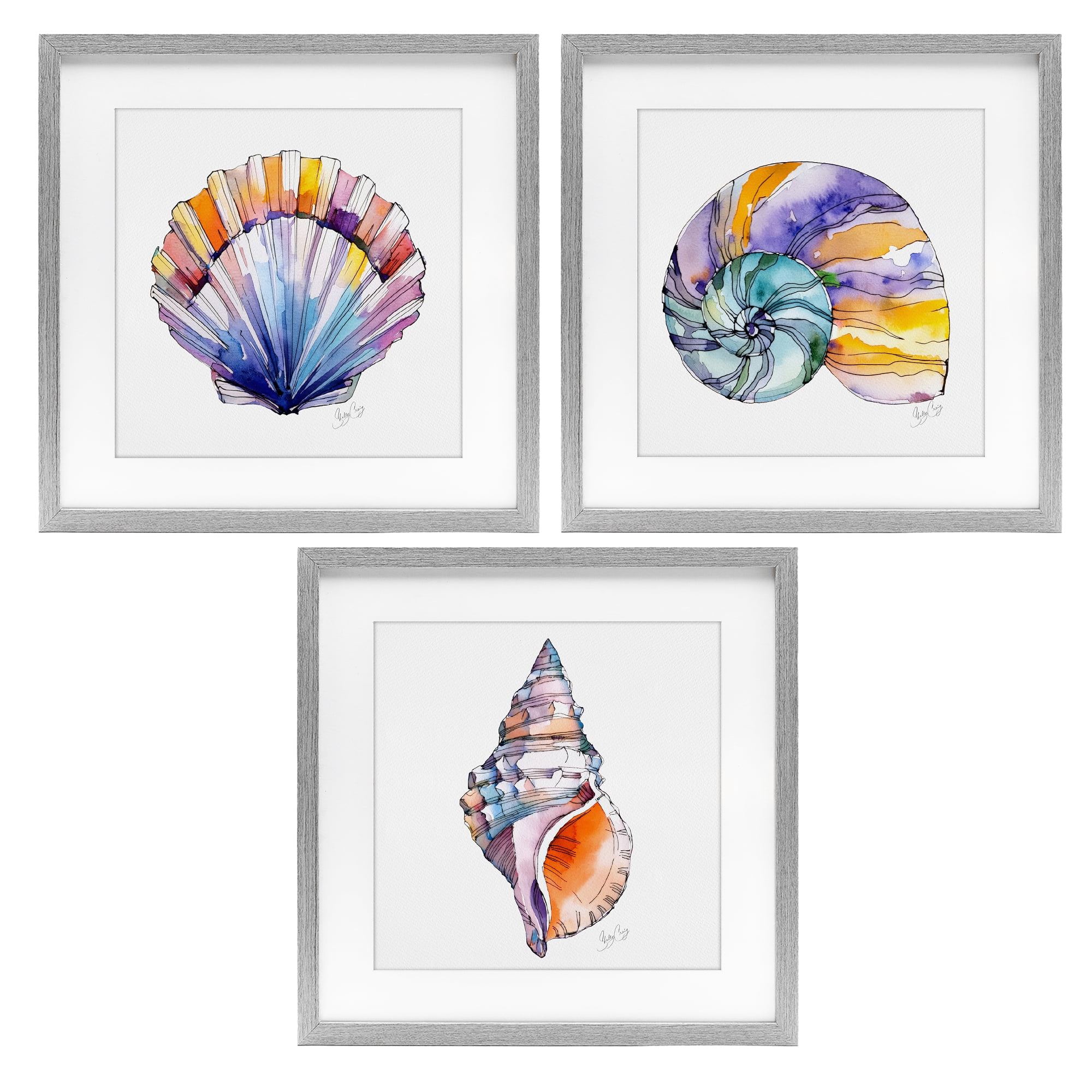 Stupell Industries Sunlit Seashells Watercolors 3 Piece Gray Framed Print Under Glass Set, design by Shelly Craig