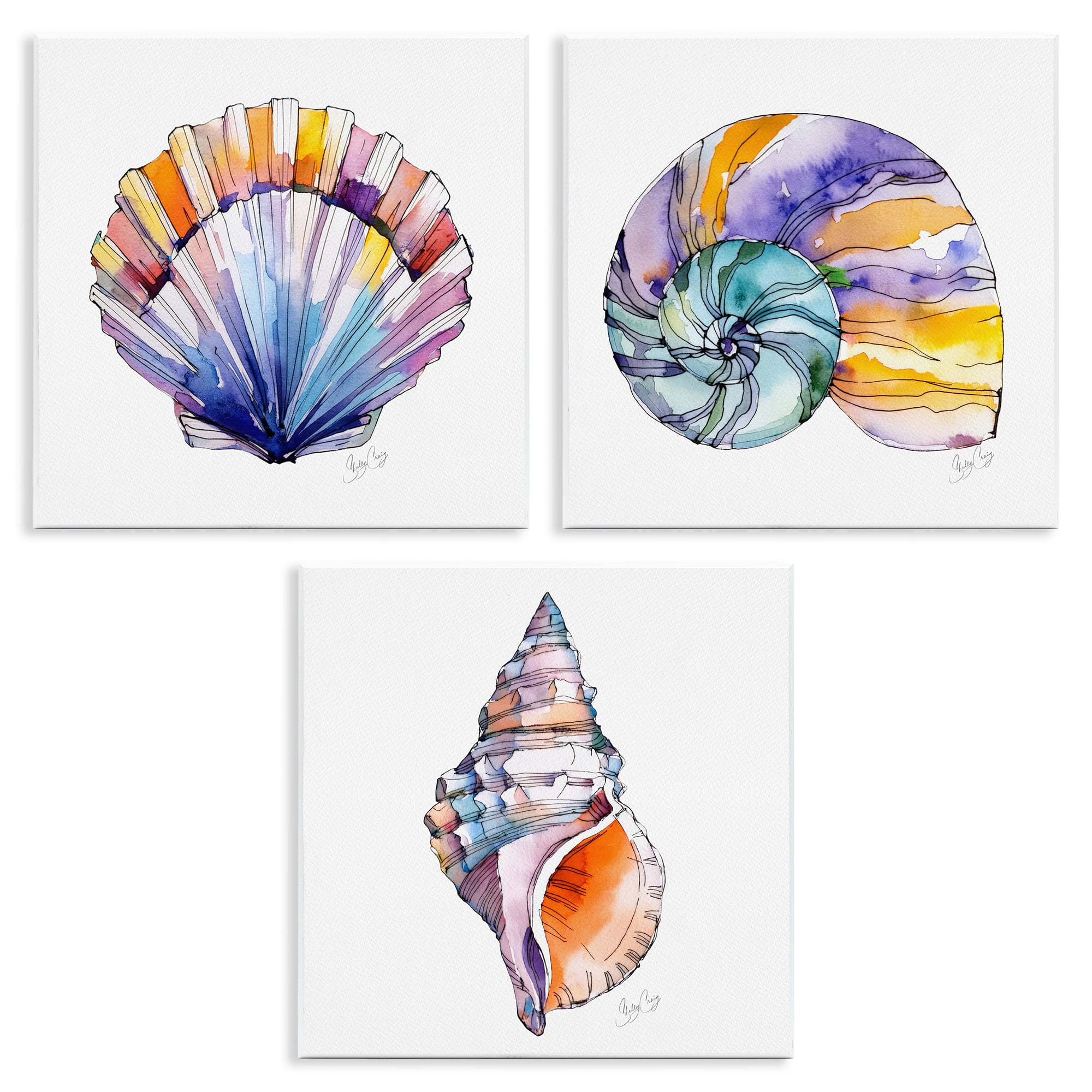 Stupell Industries Sunlit Seashells Watercolors 3 Piece Wall Plaque Art Set, design by Shelly Craig