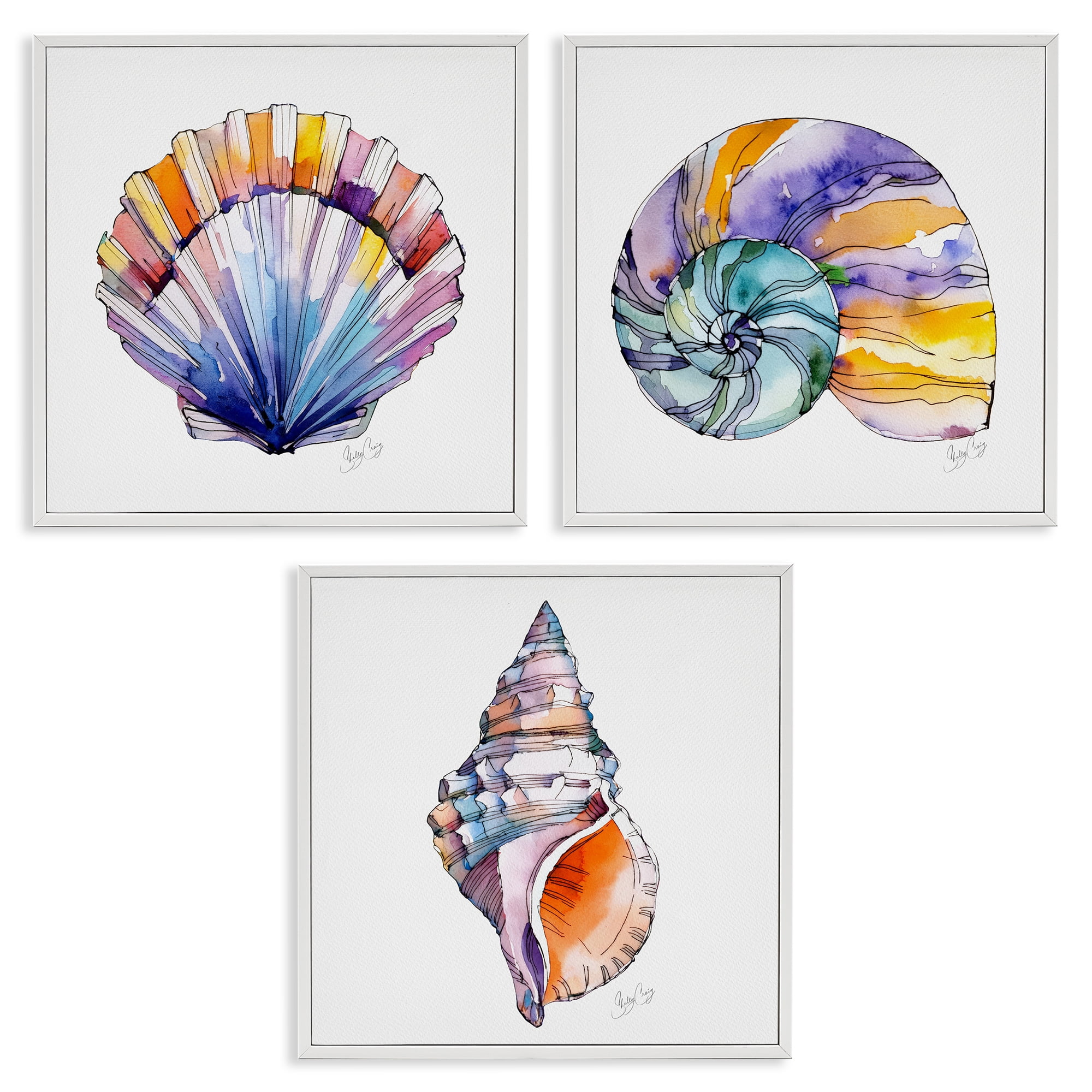 Stupell Industries Sunlit Seashells Watercolors 3 Piece White Framed Giclee Art Set, design by Shelly Craig