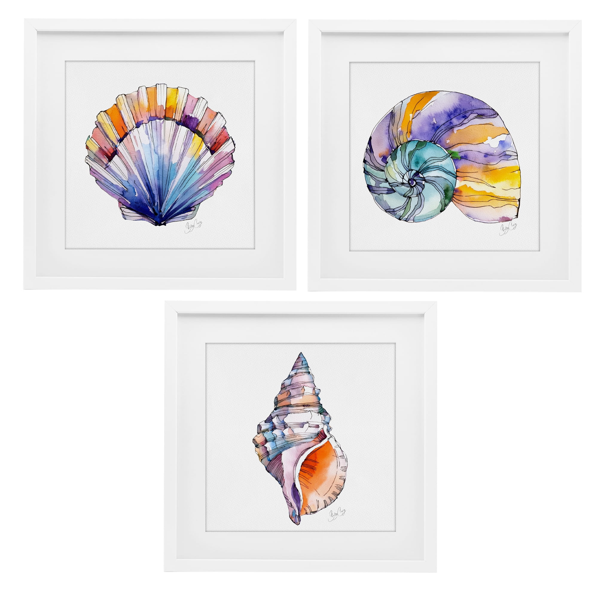 Stupell Industries Sunlit Seashells Watercolors 3 Piece White Framed Print Under Glass Set, design by Shelly Craig