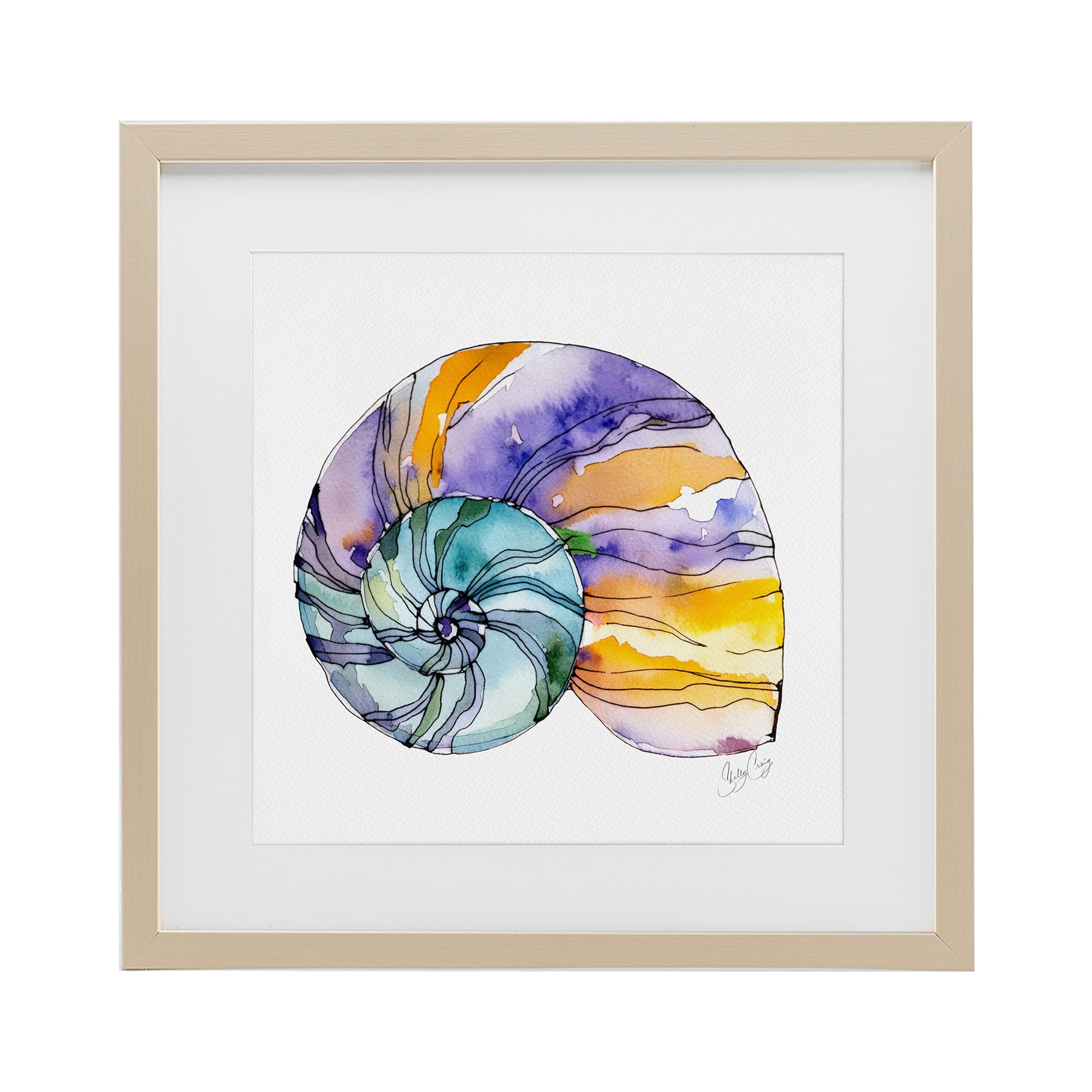 Stupell Industries Sunlit Striped Nautilus Birch Framed Print Under Glass, design by Shelly Craig