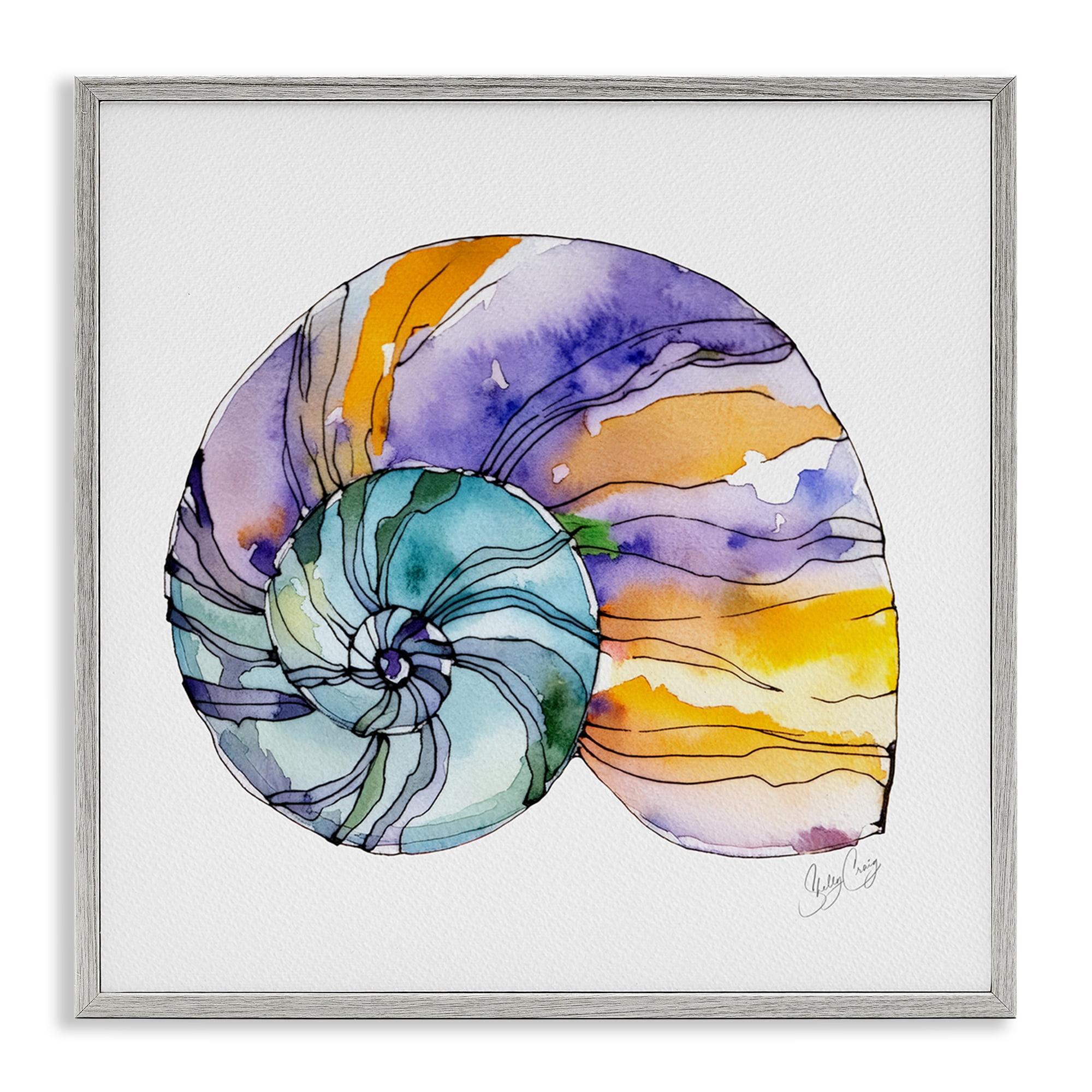 Stupell Industries Sunlit Striped Nautilus Gray Framed Giclee Art, design by Shelly Craig