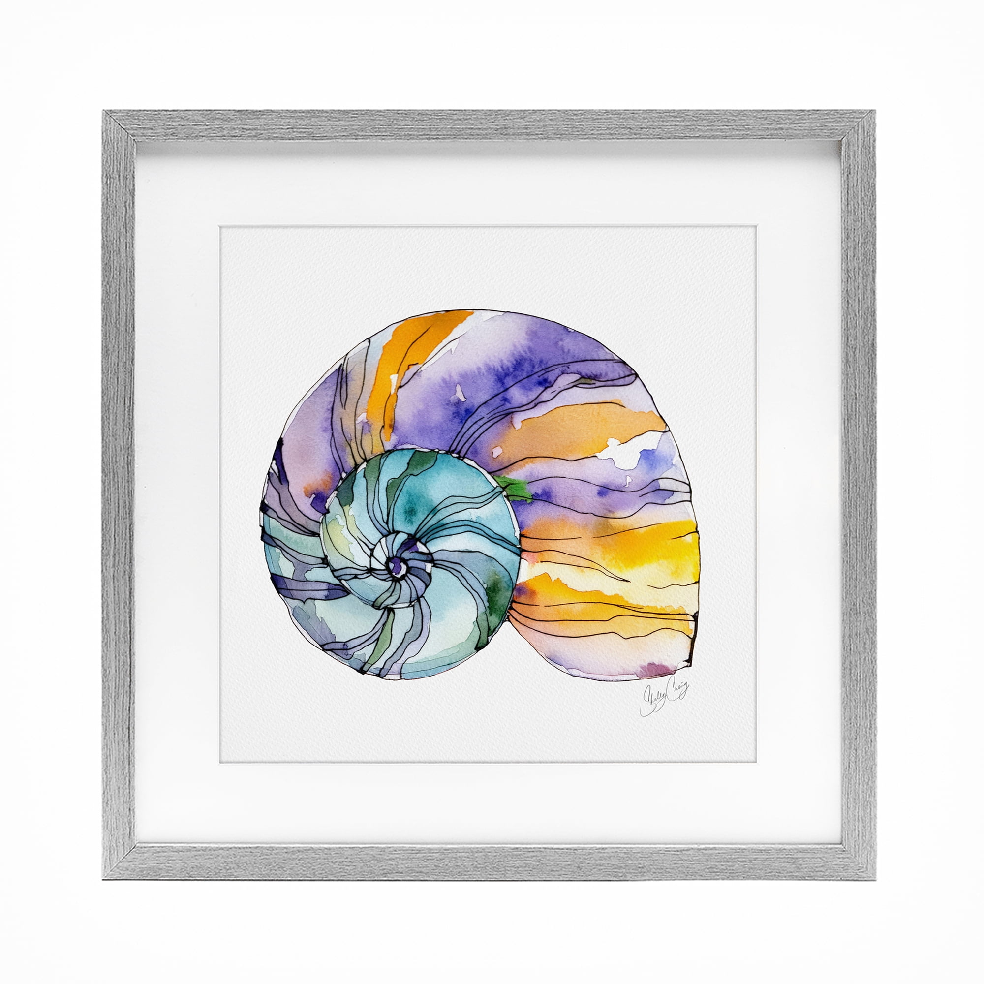 Stupell Industries Sunlit Striped Nautilus Gray Framed Print Under Glass, design by Shelly Craig