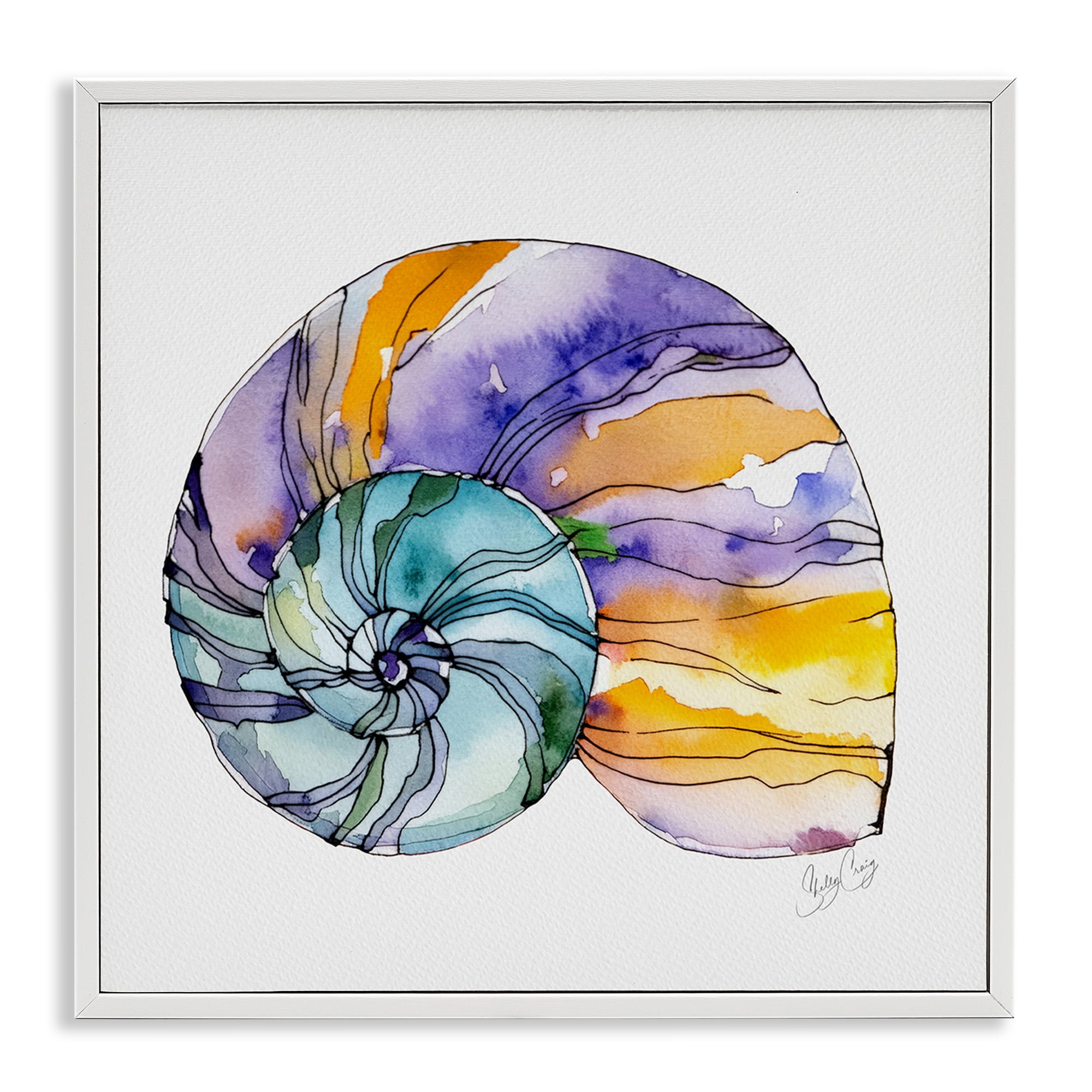 Stupell Industries Sunlit Striped Nautilus White Framed Giclee Art, design by Shelly Craig