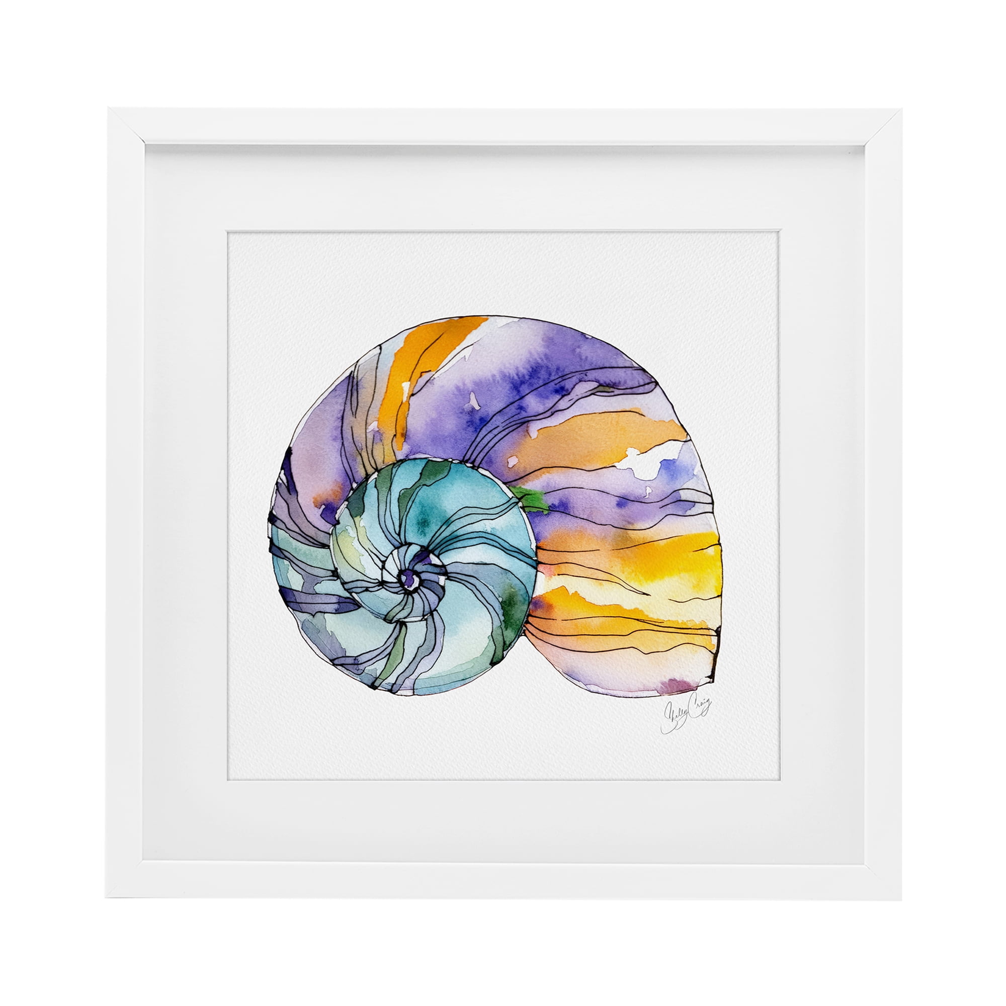 Stupell Industries Sunlit Striped Nautilus White Framed Print Under Glass, design by Shelly Craig