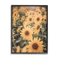 thumbnail image 1 of Stupell Industries Sunlit Sunflower Field Botanical & Floral Photography Black Framed Art Print Wall Art, 24 x 30, 1 of 8