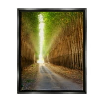 Stupell Industries Sunlit Tree Grove Pathway Landscape Photography Black Floater Framed Art Print Wall Art