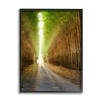 Stupell Industries Sunlit Tree Grove Pathway Landscape Photography Black Framed Art Print Wall Art