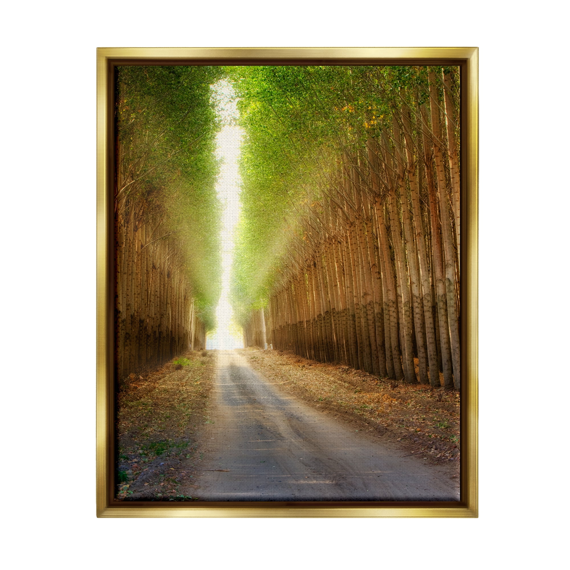 Stupell Industries Sunlit Tree Grove Pathway Landscape Photography Gold Floater Framed Art Print Wall Art