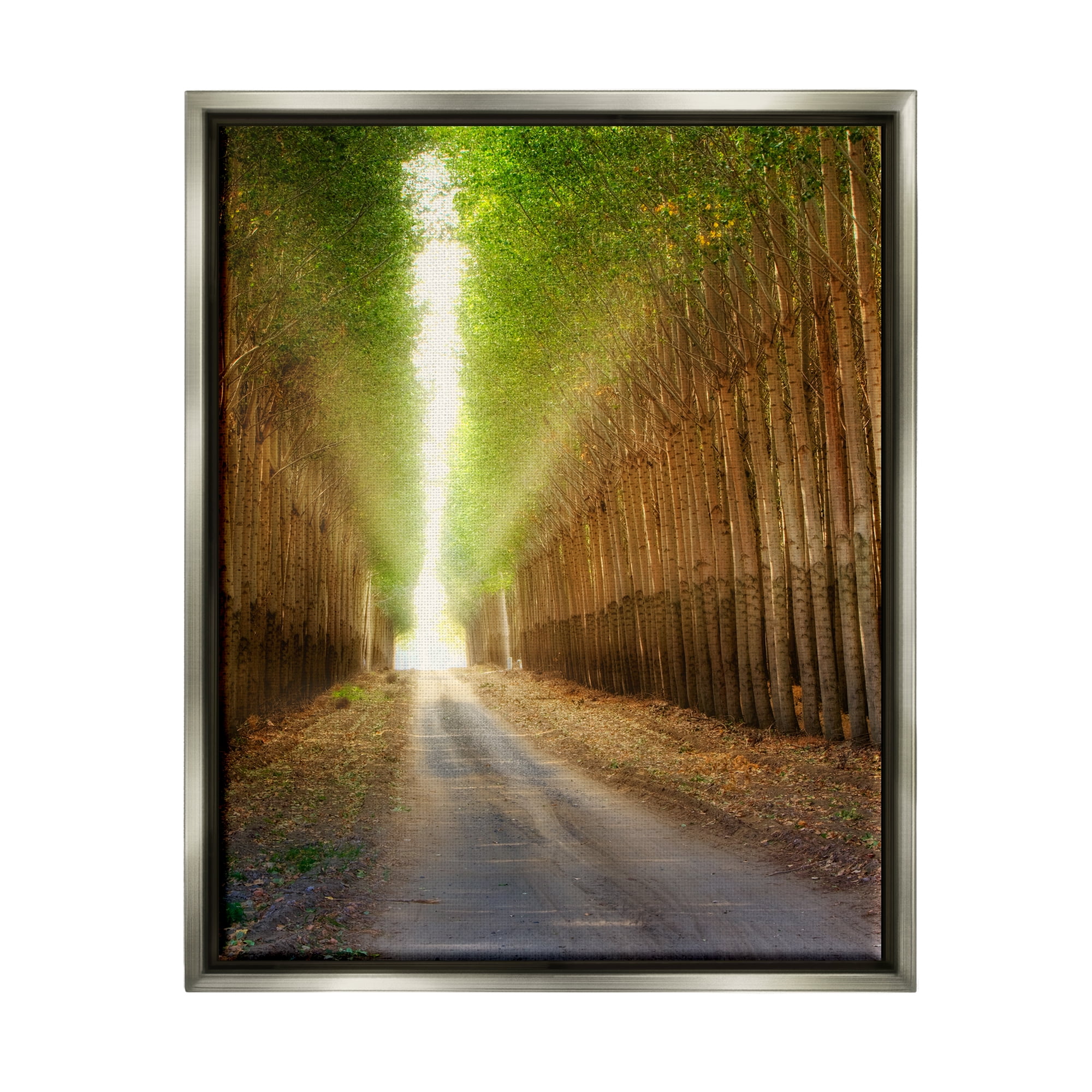 Stupell Industries Sunlit Tree Grove Pathway Landscape Photography Gray Floater Framed Art Print Wall Art