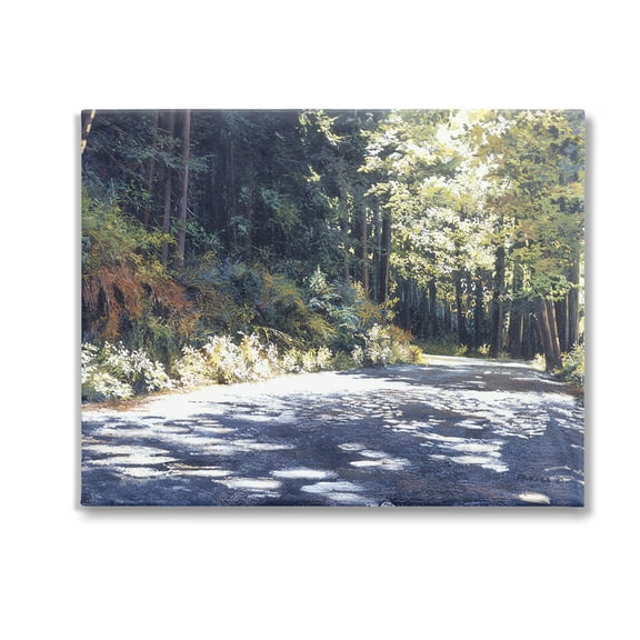 Stupell Industries Sunlit Woodland Road Landscape Painting Gallery Wrapped Canvas Art Print Wall Art, 20 x 16