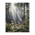 thumbnail image 1 of Stupell Industries Farmhouse Sunlit Woods In Morning Canvas Art, 16 x 20, by Franklyn Gregory, 1 of 8
