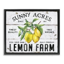 Stupell Industries Sunny Acres Lemon Farm Food & Beverage Painting Black Floater Framed Canvas Art Print Wall Art, 21 x 17