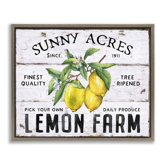 Stupell Industries Sunny Acres Lemon Farm Food & Beverage Painting Brown Floater Framed Canvas Art Print Wall Art, 21 x 17