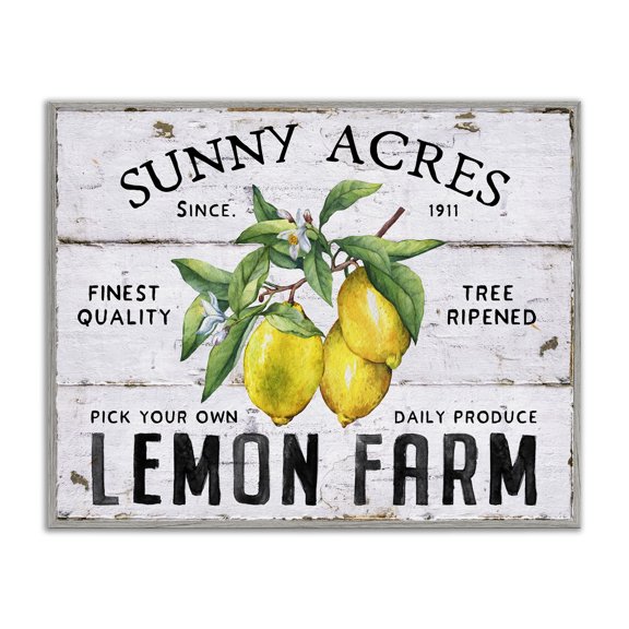 Stupell Industries Sunny Acres Lemon Farm Food & Beverage Painting Gray Framed Art Print Wall Art, 20 x 16