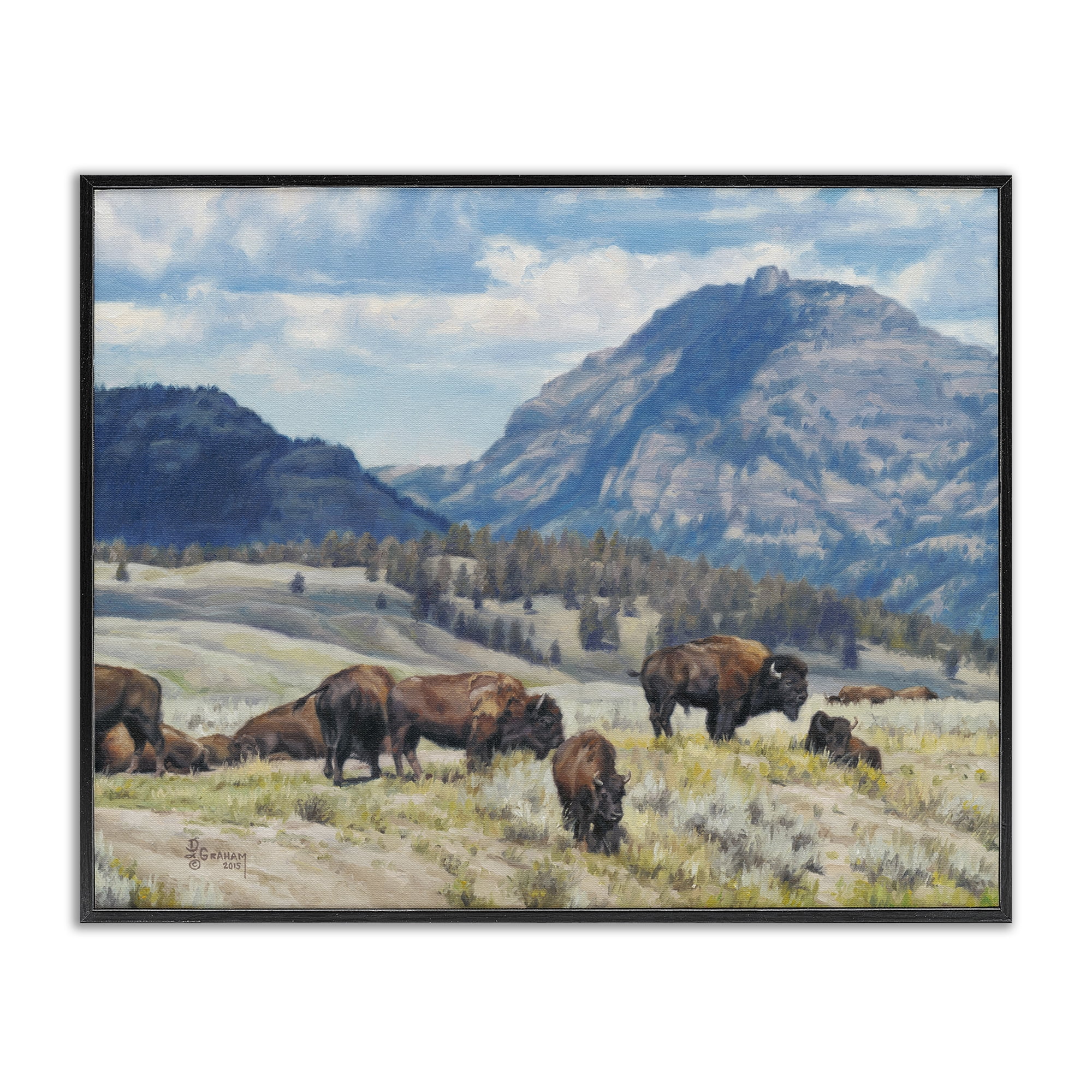 Stupell Industries Sunny Afternoon Bison Landscape Painting Black Framed Art Print Wall Art, 20 x 16