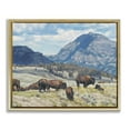 thumbnail image 1 of Stupell Industries Sunny Afternoon Bison Landscape Painting Gold Floater Framed Canvas Art Print Wall Art, 21 x 17, 1 of 10