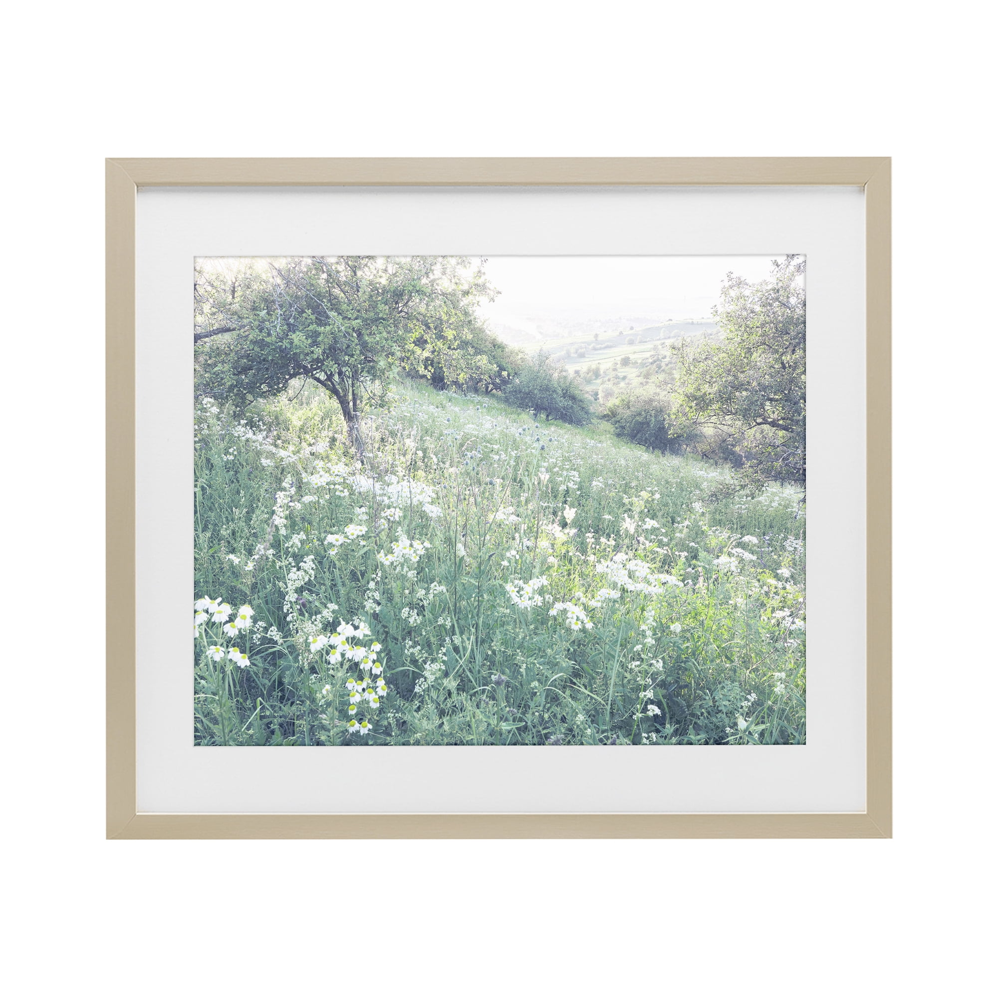 Stupell Industries Sunny Daisies in Meadow Birch Framed Print Under Glass, design by Leah Straatsma