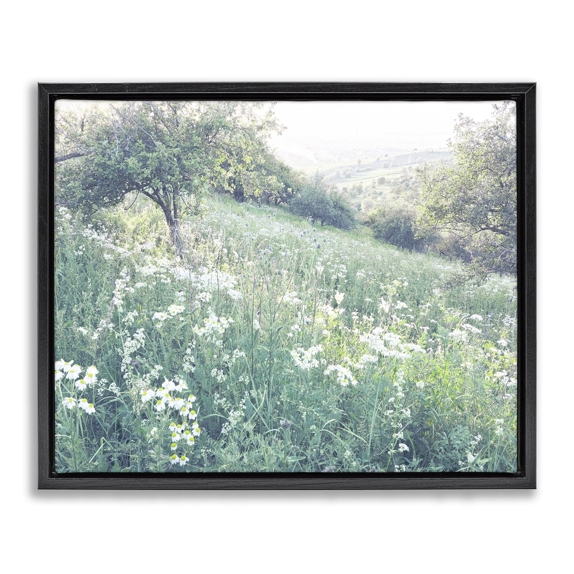 Stupell Industries Sunny Daisies in Meadow Black Framed Floater Canvas Wall Art, design by Leah Straatsma