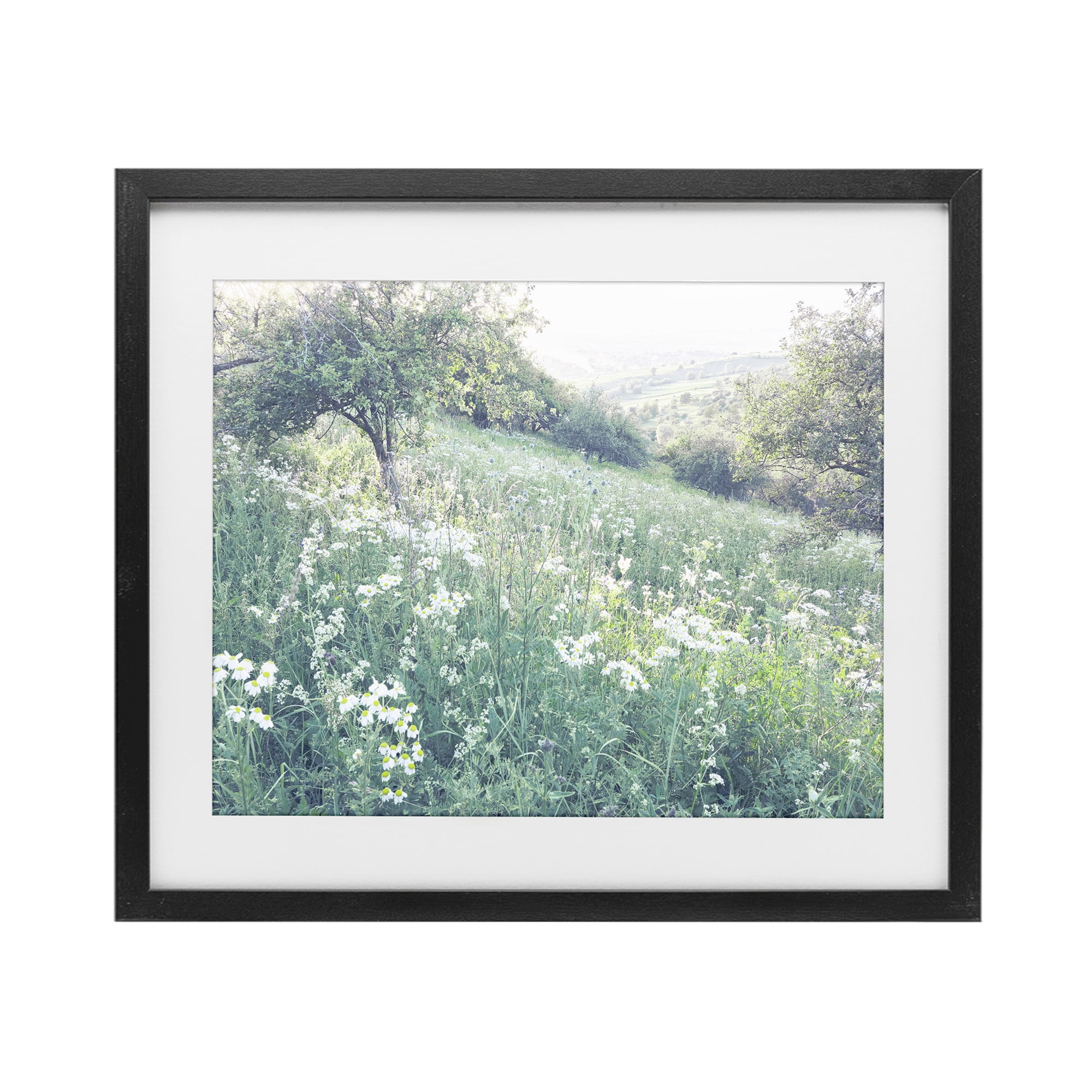 Stupell Industries Sunny Daisies in Meadow Black Framed Print Under Glass, design by Leah Straatsma