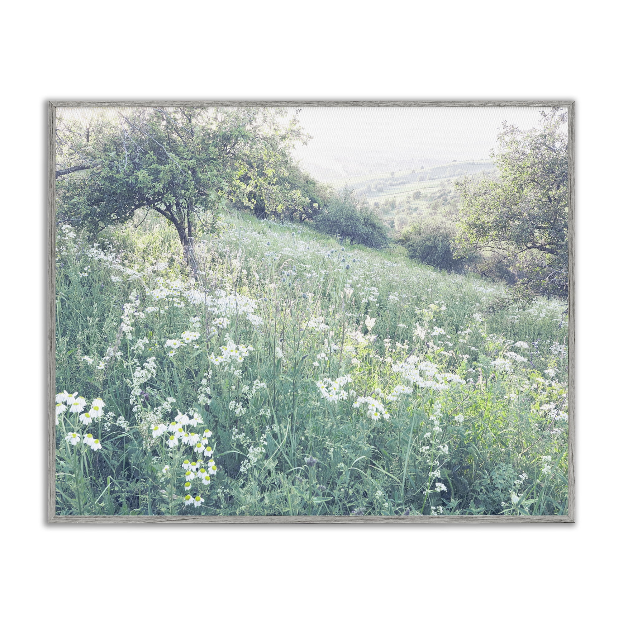 Stupell Industries Sunny Daisies in Meadow Gray Framed Giclee Art, design by Leah Straatsma