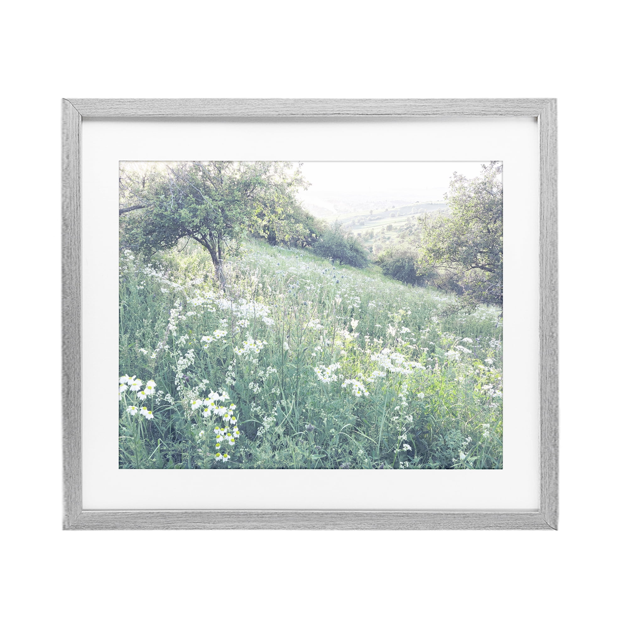 Stupell Industries Sunny Daisies in Meadow Gray Framed Print Under Glass, design by Leah Straatsma