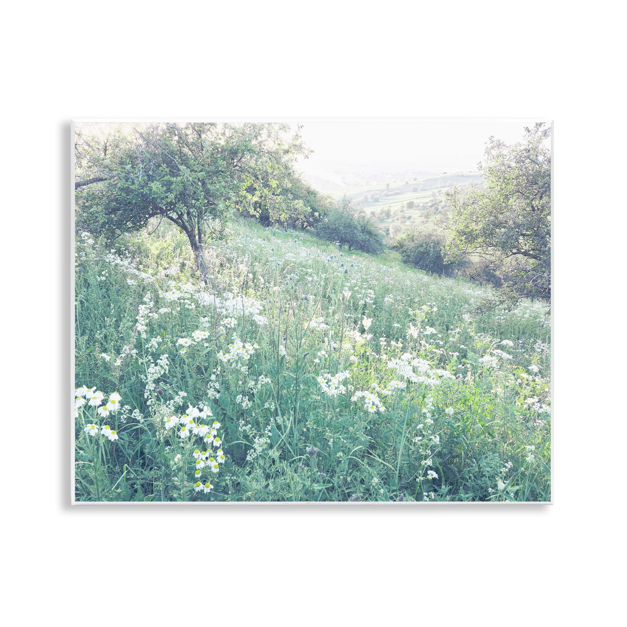 Stupell Industries Sunny Daisies in Meadow Wall Plaque Art, design by Leah Straatsma