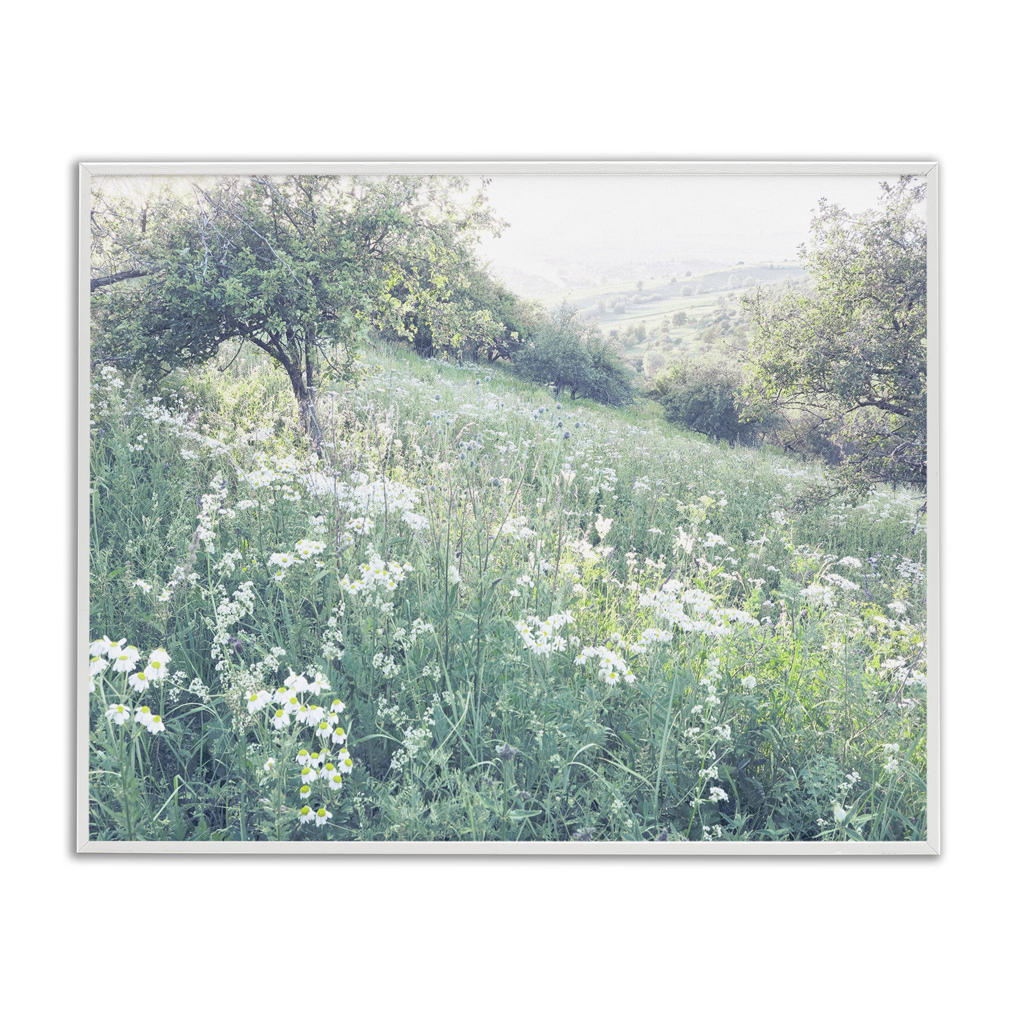 Stupell Industries Sunny Daisies in Meadow White Framed Giclee Art, design by Leah Straatsma