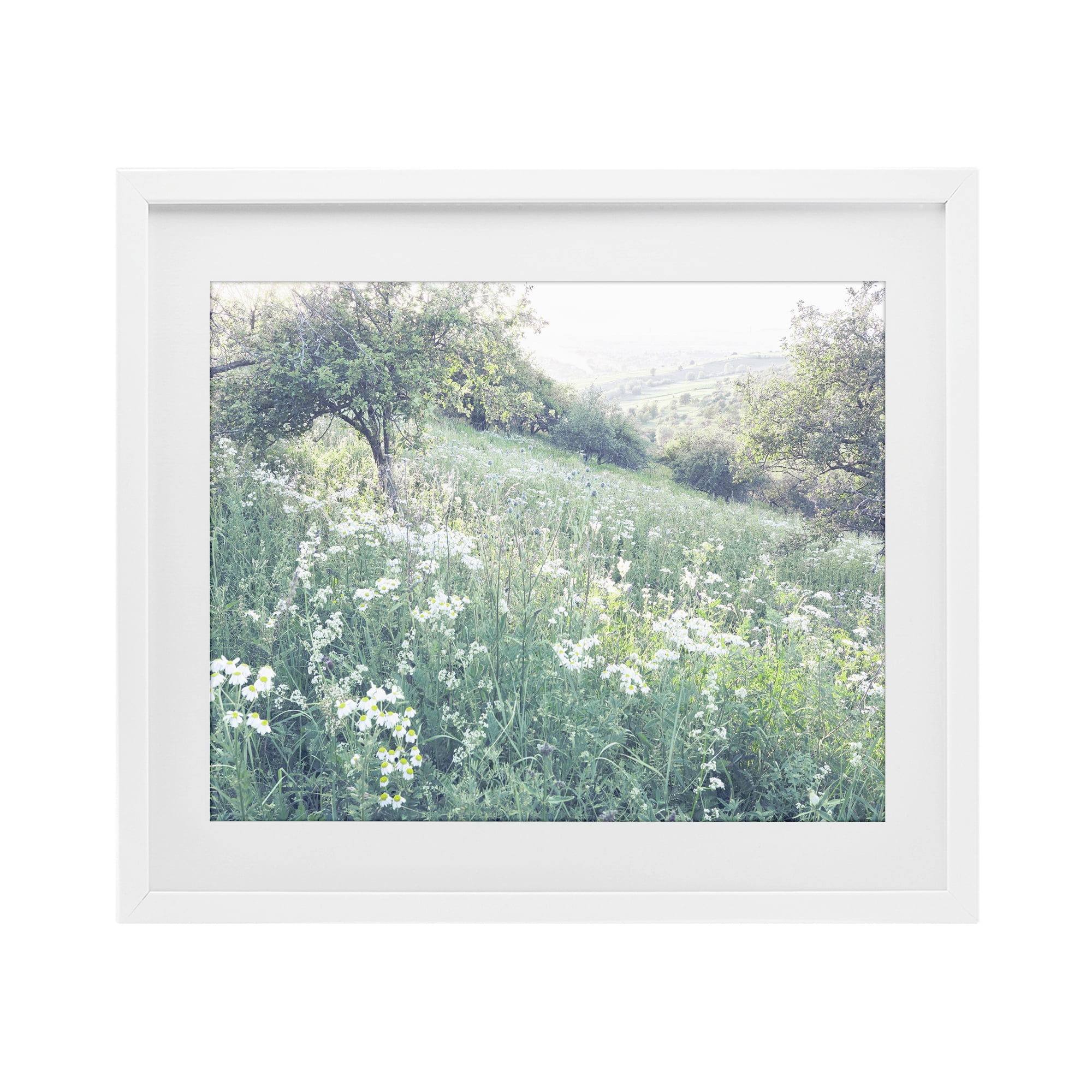 Stupell Industries Sunny Daisies in Meadow White Framed Print Under Glass, design by Leah Straatsma