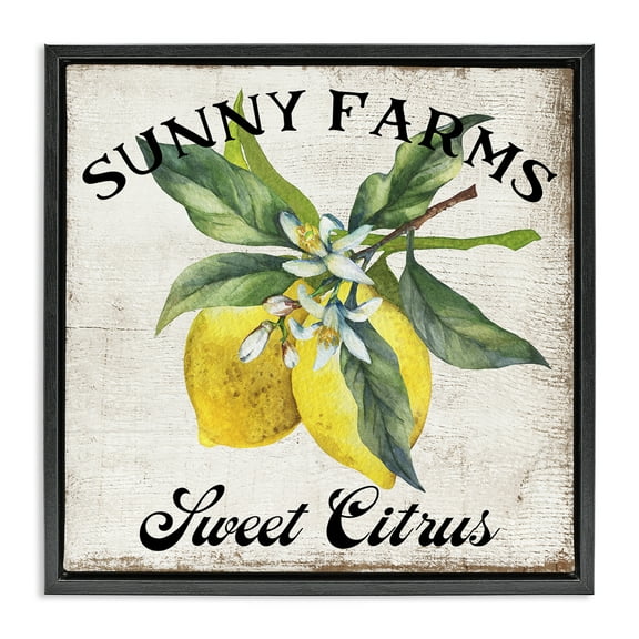 Stupell Industries Sunny Farms Sweet Lemon Food & Beverage Painting Black Floater Framed Canvas Art Print Wall Art, 18 x 18
