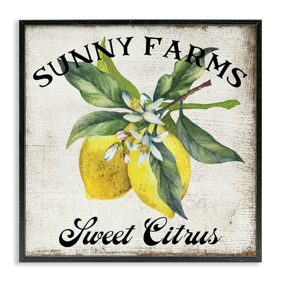 Stupell Industries Sunny Farms Sweet Lemon Food & Beverage Painting Black Framed Art Print Wall Art, 12 x 12