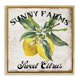 thumbnail image 1 of Stupell Industries Traditional Sunny Farms Sweet Lemon Gold Floating Frame Canvas Art, 18 x 18, by Creatif Belle, 1 of 8
