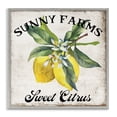 thumbnail image 1 of Stupell Industries Traditional Sunny Farms Sweet Lemon Gray Framed Giclee Art, 17 x 17, by Creatif Belle, 1 of 8