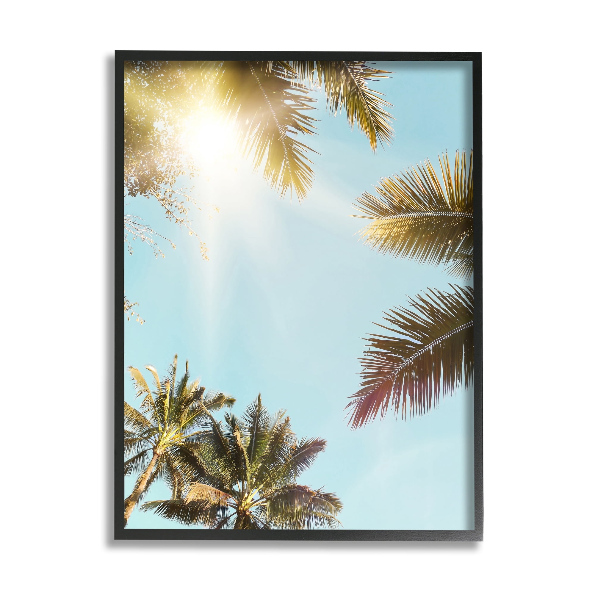 Stupell Industries Sunny Palm Leaves Photography Nature Photography Black Framed Art Print Wall Art, 11 x 14
