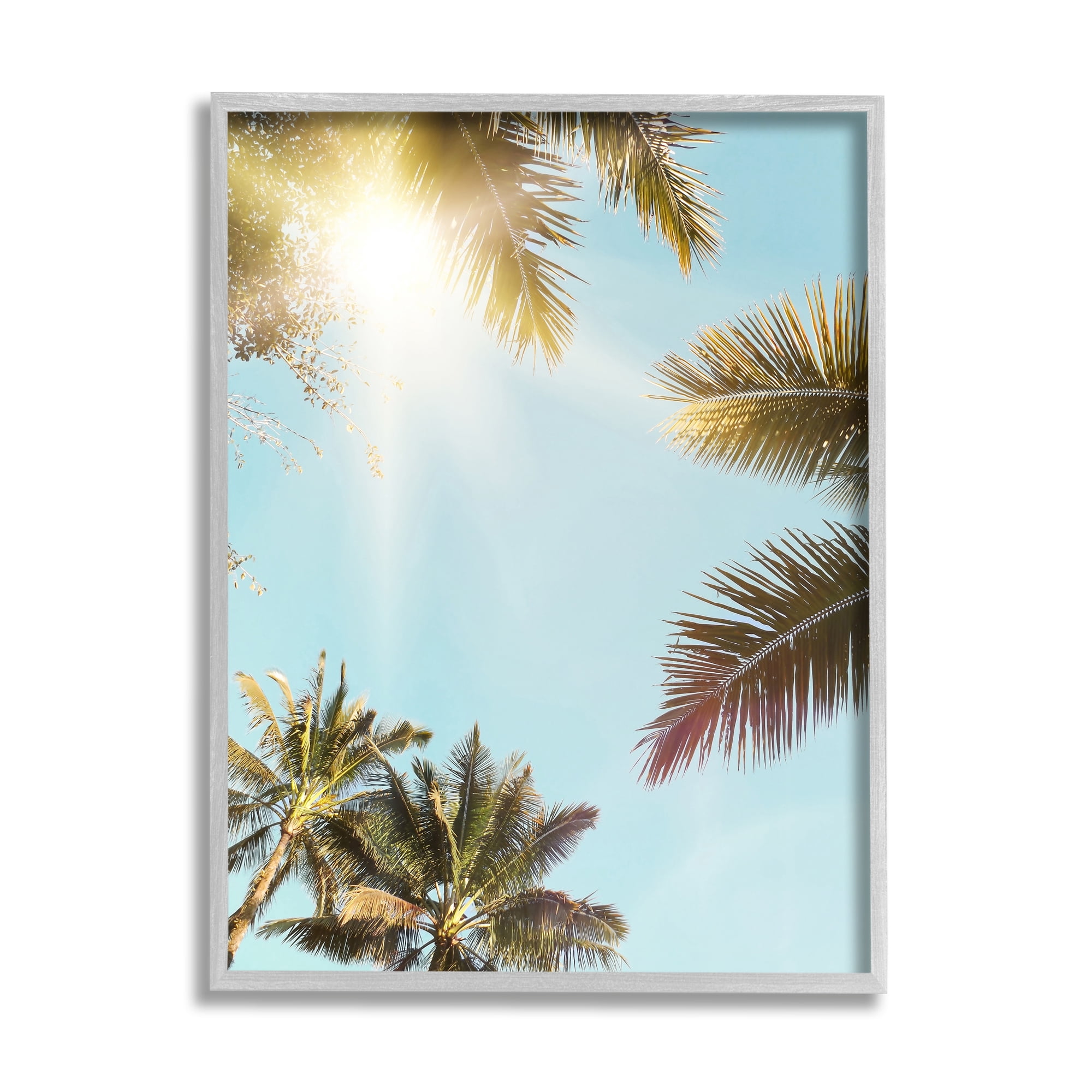 Stupell Industries Sunny Palm Leaves Photography Nature Photography Gray Framed Art Print Wall Art, 11 x 14