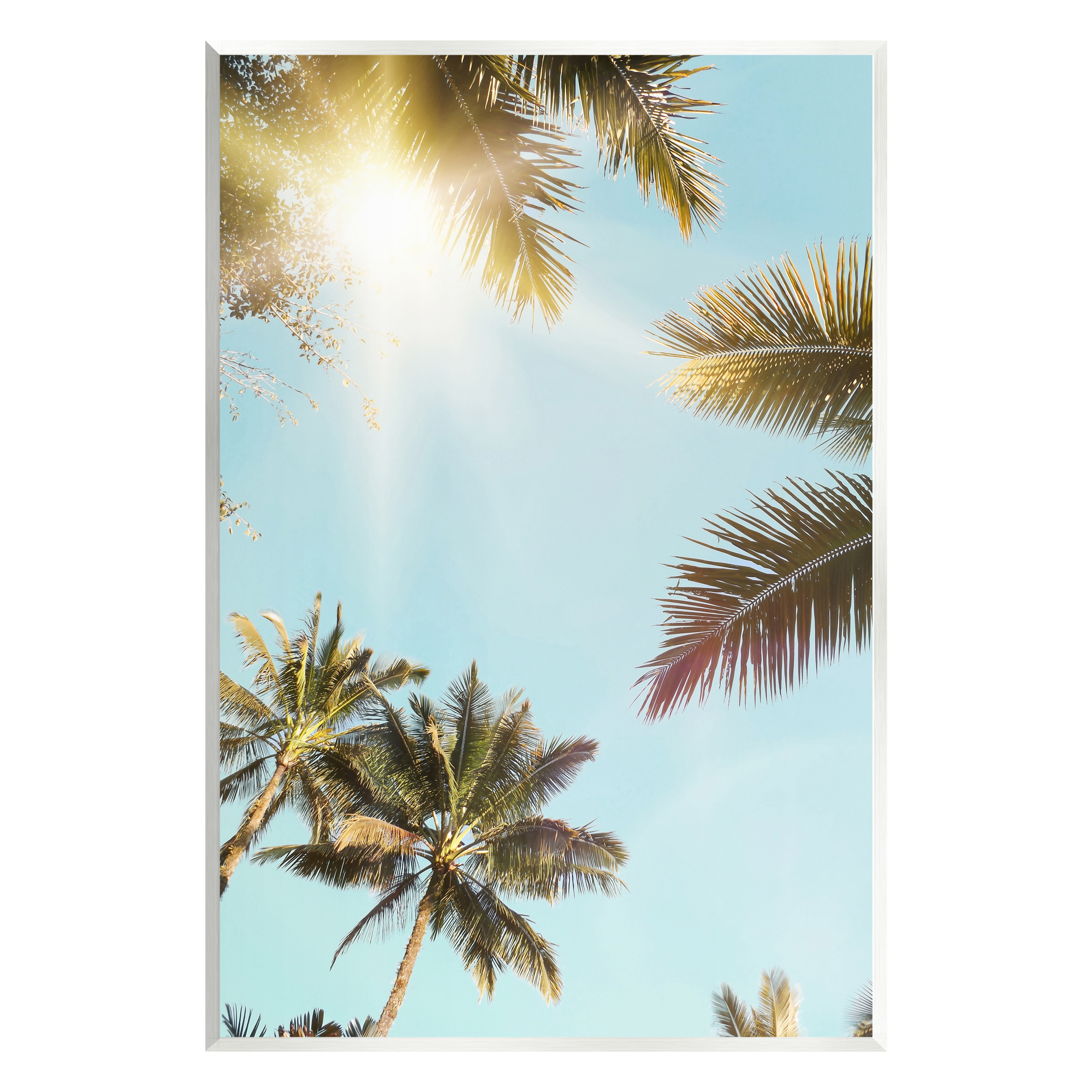Stupell Industries Sunny Palm Leaves Photography Nature Photography Unframed Art Print Wall Art, 10 x 15