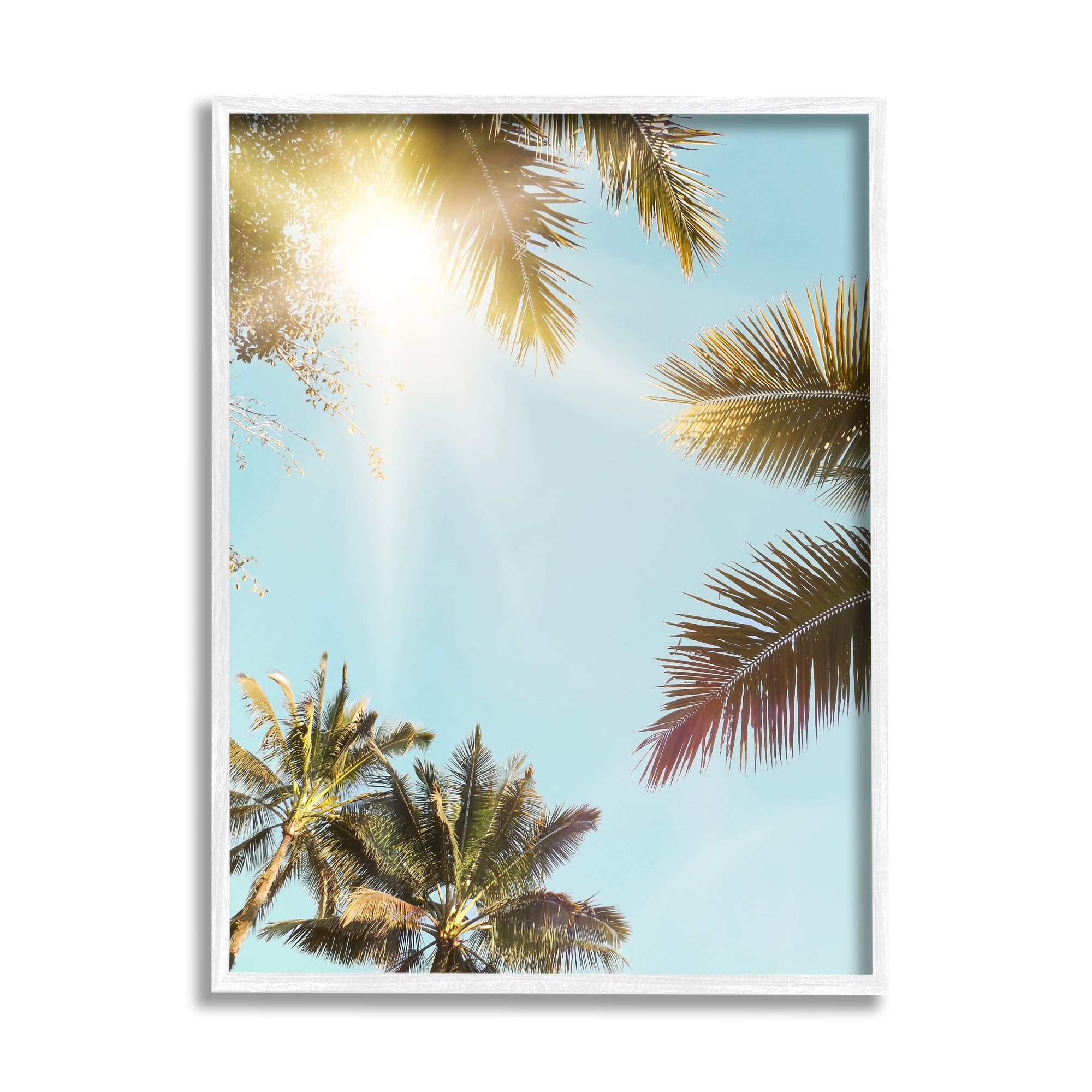 Stupell Industries Sunny Palm Leaves Photography Nature Photography White Framed Art Print Wall Art, 11 x 14