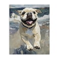 thumbnail image 1 of Stupell Industries Traditional Sunny Paws Dog on Beach Canvas Art, 36 x 48, by Svetlana Aleynikova, 1 of 8