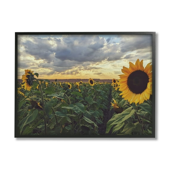 Stupell Industries Sunny Sunflower Patch Field Panoramic Cloudy Sky Framed Wall Art, 20 x 16, Design by Kali Wilson