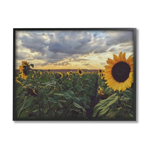 Stupell Industries Sunny Sunflower Patch Field Panoramic Cloudy Sky Framed Wall Art, 30 x 24, Design by Kali Wilson