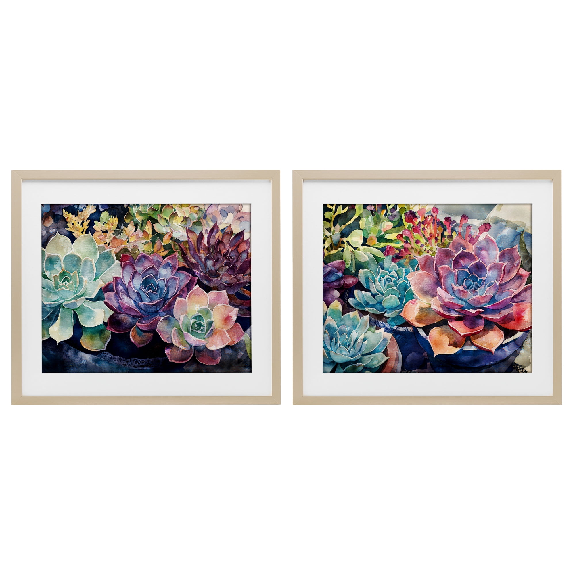 Stupell Industries Sunny Watercolor Succulents 2 Piece Birch Framed Print Under Glass Set, design by Svetlana Aleynikova