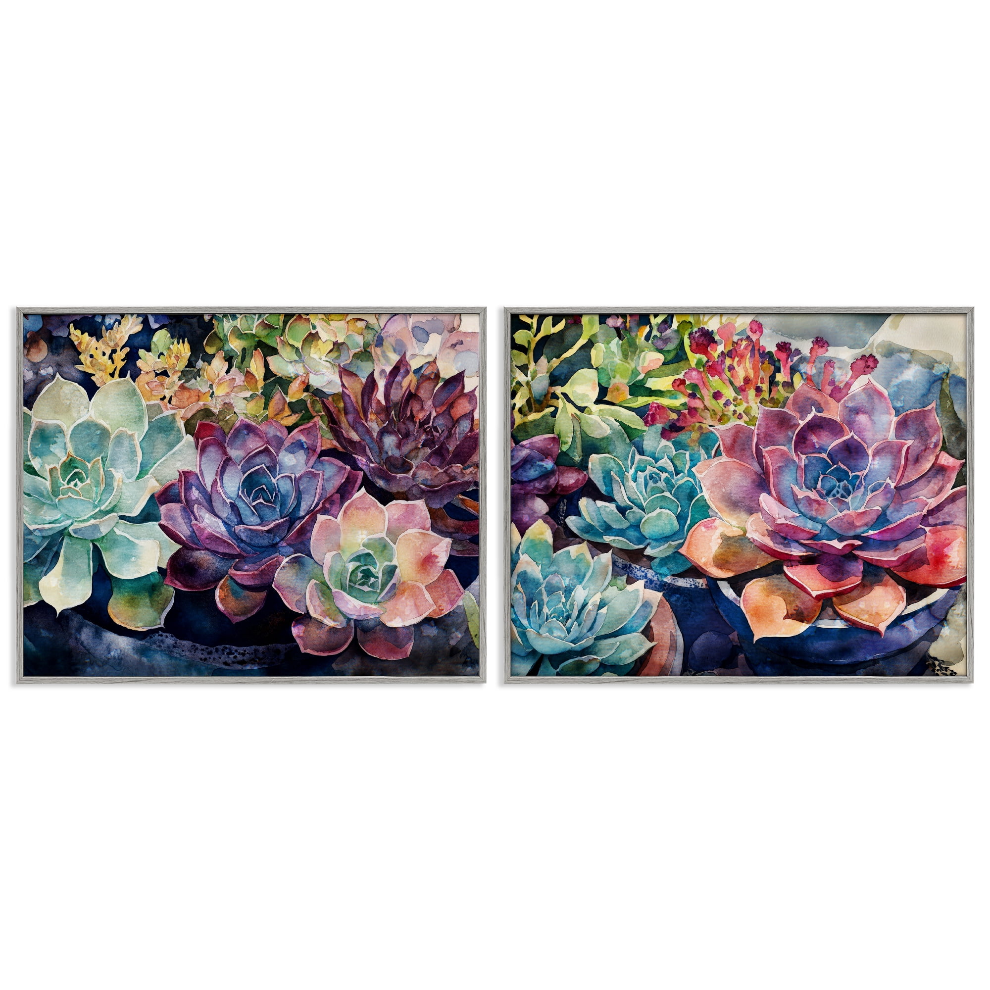 Stupell Industries Sunny Watercolor Succulents 2 Piece Gray Framed Giclee Art Set, design by Svetlana Aleynikova