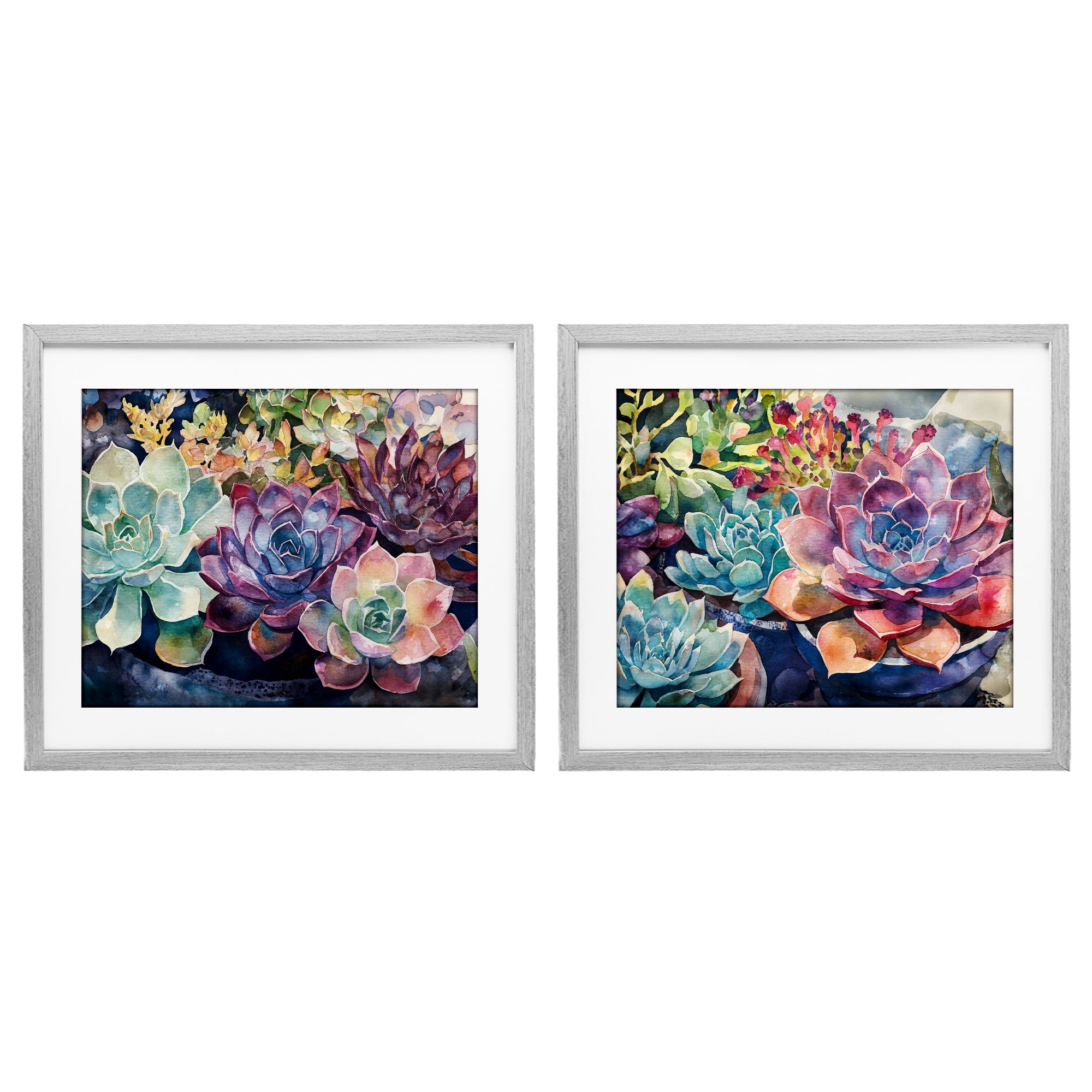 Stupell Industries Sunny Watercolor Succulents 2 Piece Gray Framed Print Under Glass Set, design by Svetlana Aleynikova