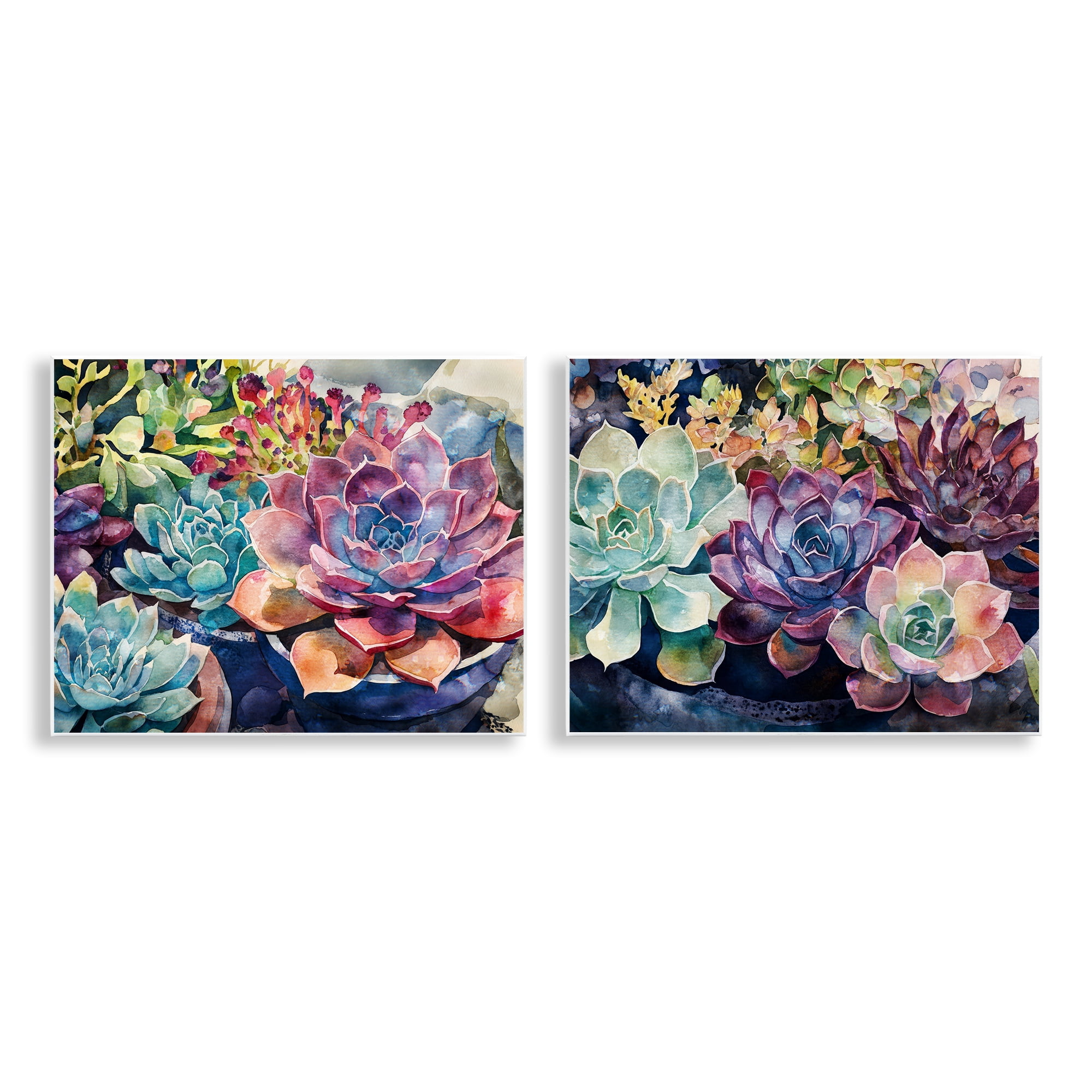 Stupell Industries Sunny Watercolor Succulents 2 Piece Wall Plaque Art Set, design by Svetlana Aleynikova