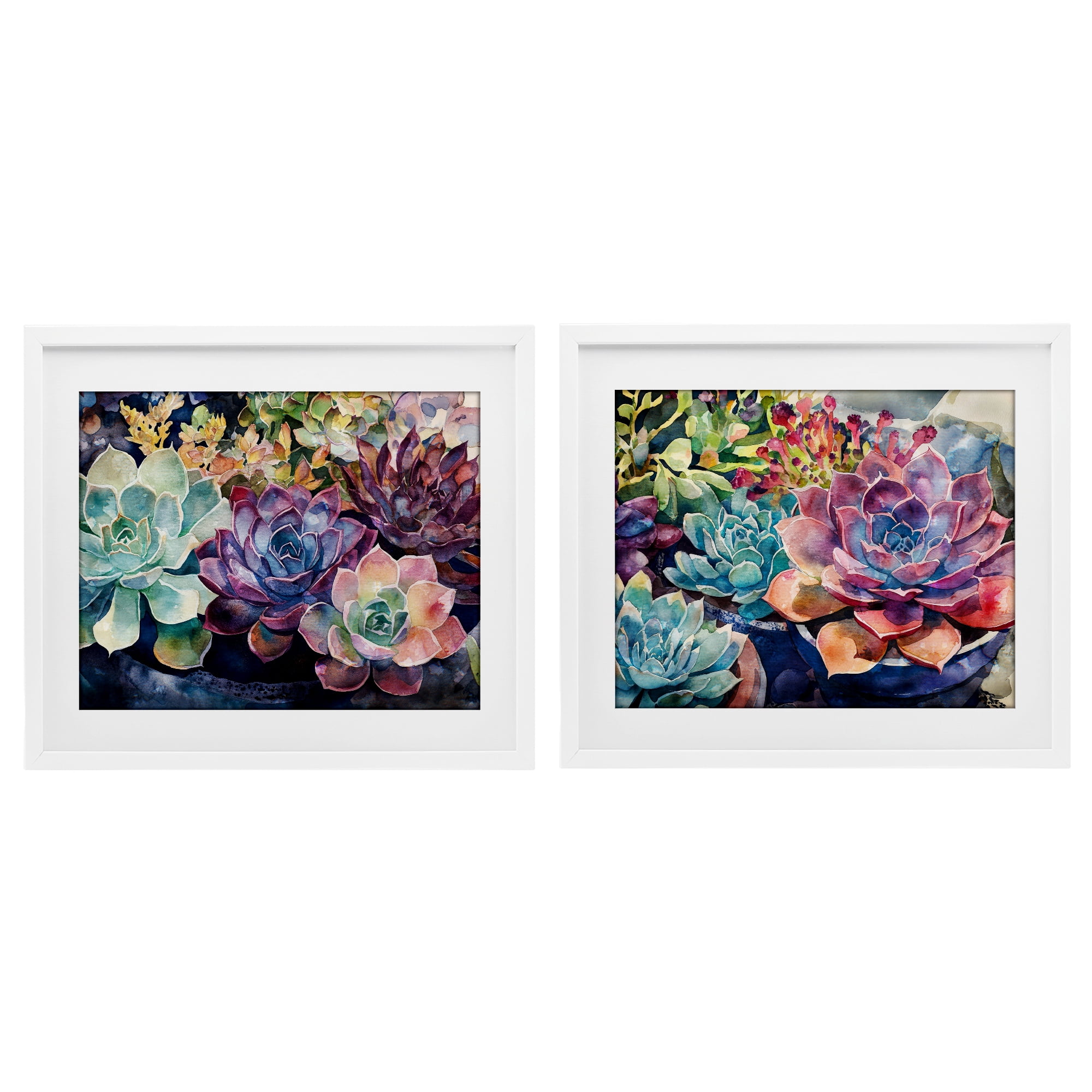 Stupell Industries Sunny Watercolor Succulents 2 Piece White Framed Print Under Glass Set, design by Svetlana Aleynikova