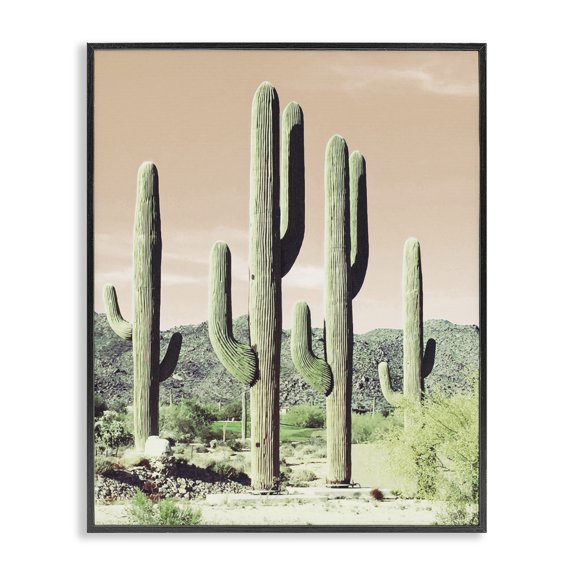 Stupell Industries Sunrise Cactus Scene Landscape & Nature Photography Black Framed Art Print Wall Art, 24 x 30