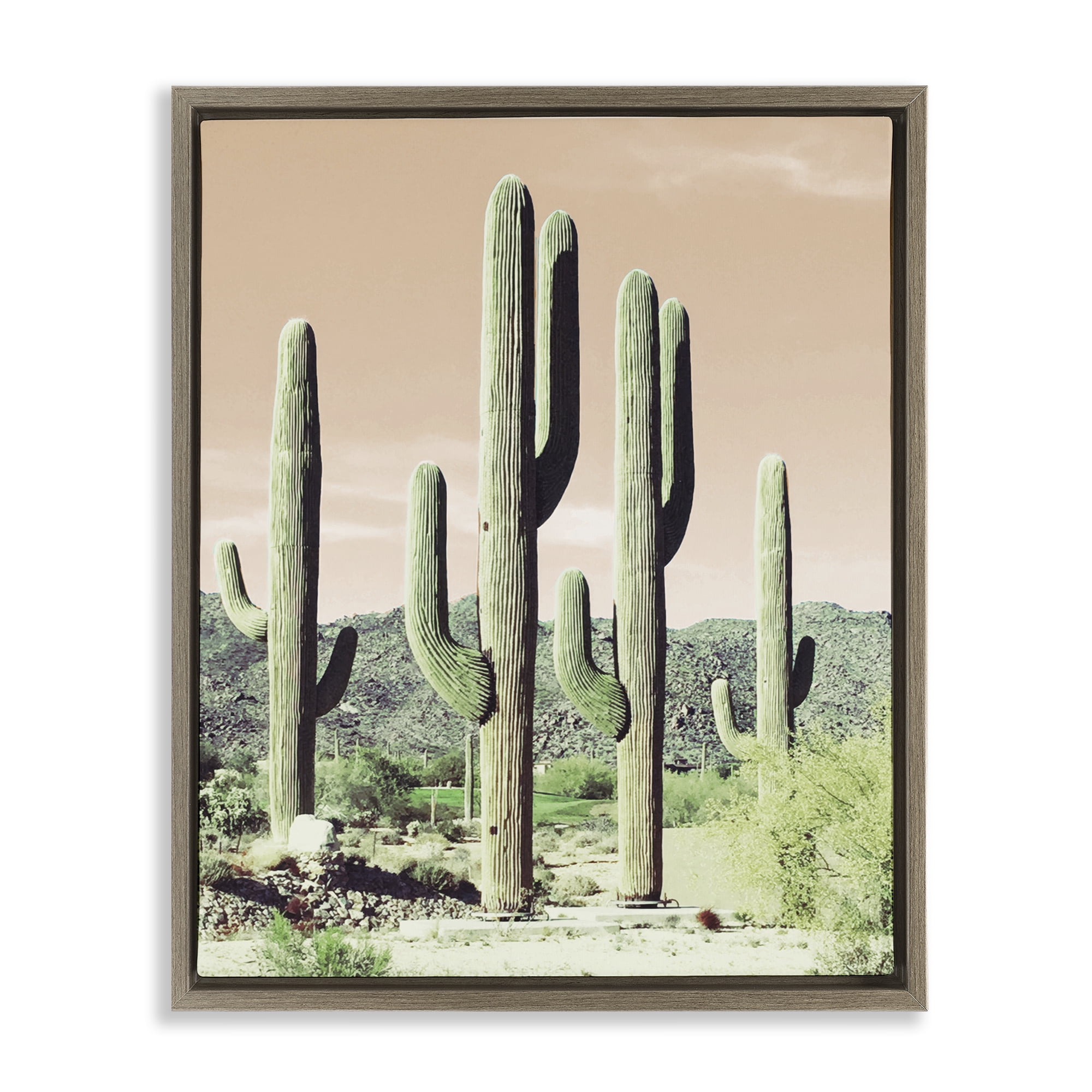 Stupell Industries Sunrise Cactus Scene Landscape & Nature Photography Brown Floater Framed Canvas Art Print Wall Art, 17 x 21